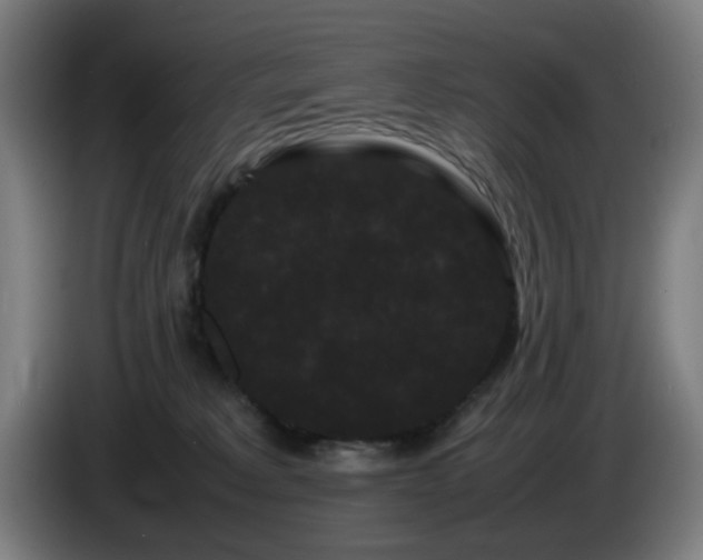 X0000086090229200703301158