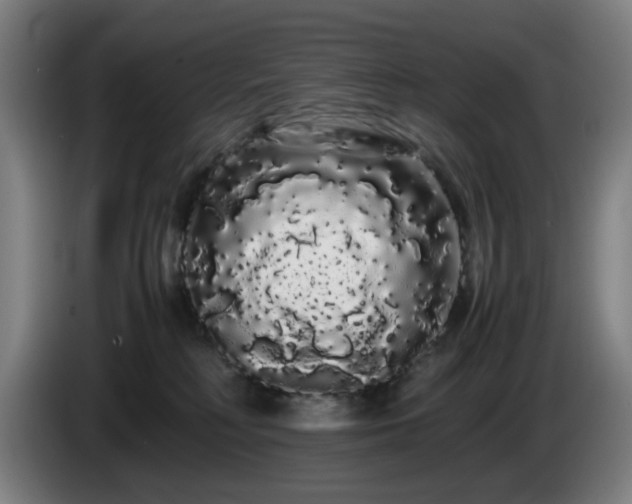 X0000086090230200703301158