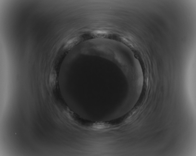 X0000086090231200703301158