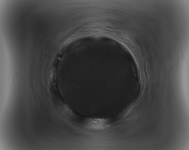 X0000086090233200703301158