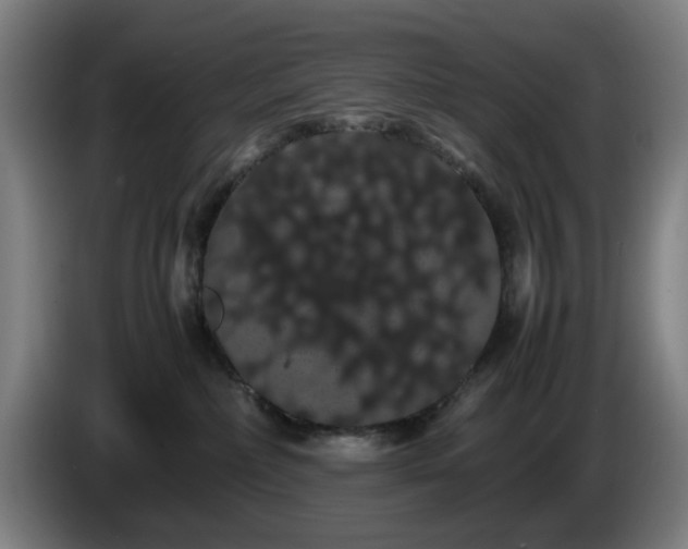 X0000086090236200703301158