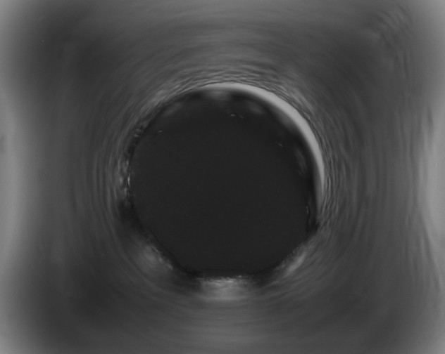 X0000086090237200703301158