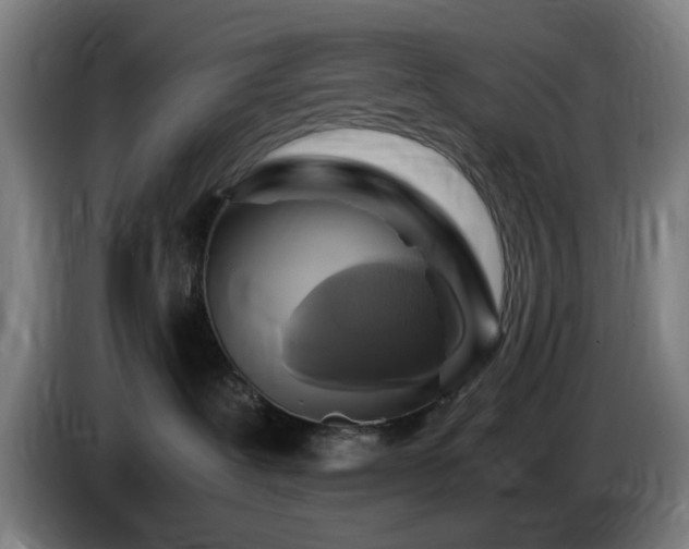 X0000086090239200703301157