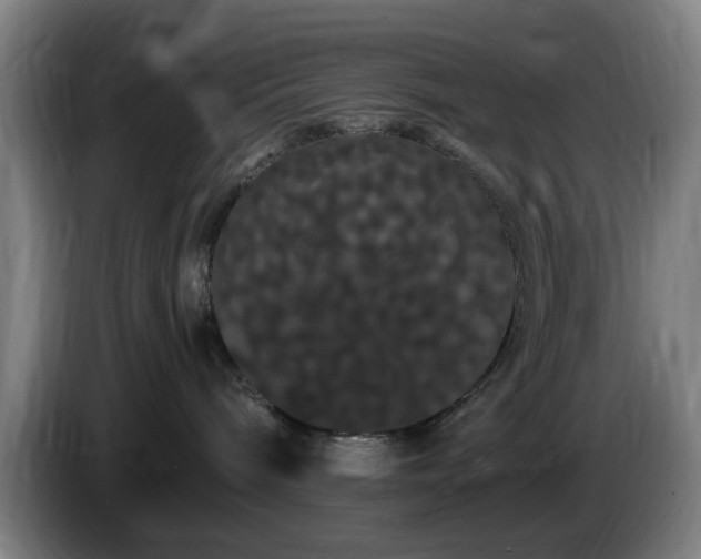 X0000086090240200703301157