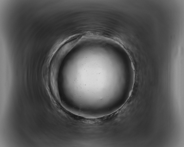 X0000086090241200703301157