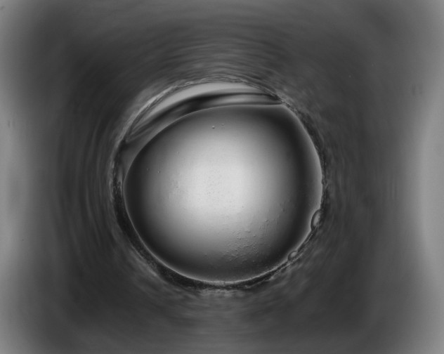 X0000086090242200703301157