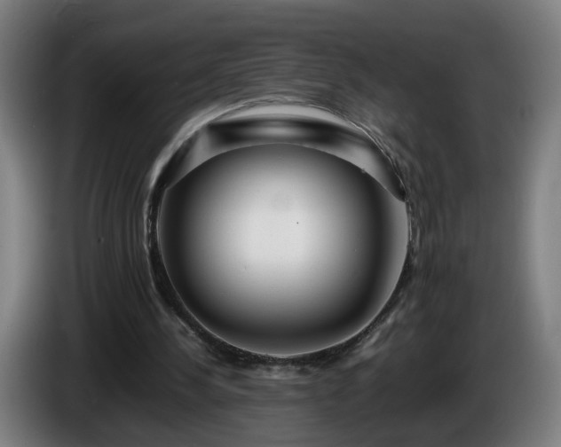 X0000086090244200703301157