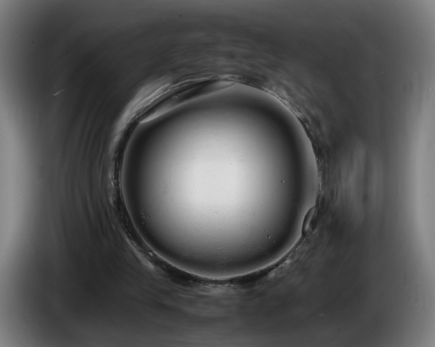 X0000086090245200703301157