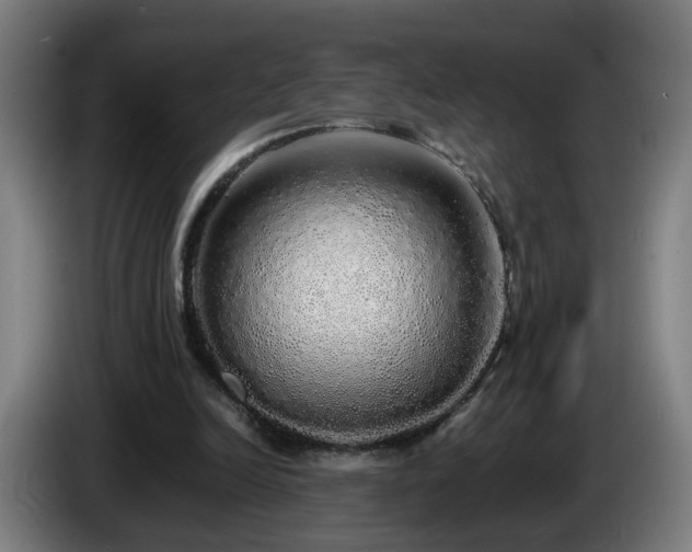 X0000086090246200703301157