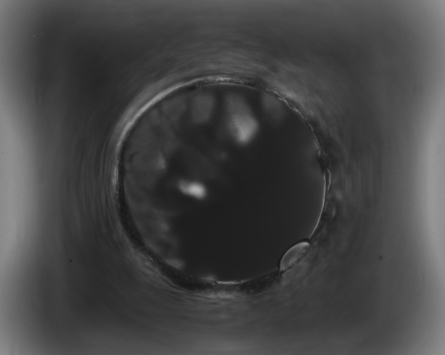 X0000086090247200703301157