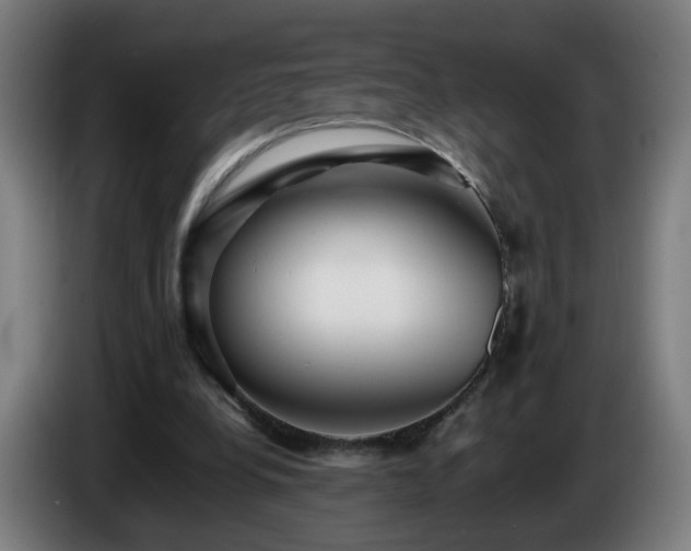 X0000086090248200703301157