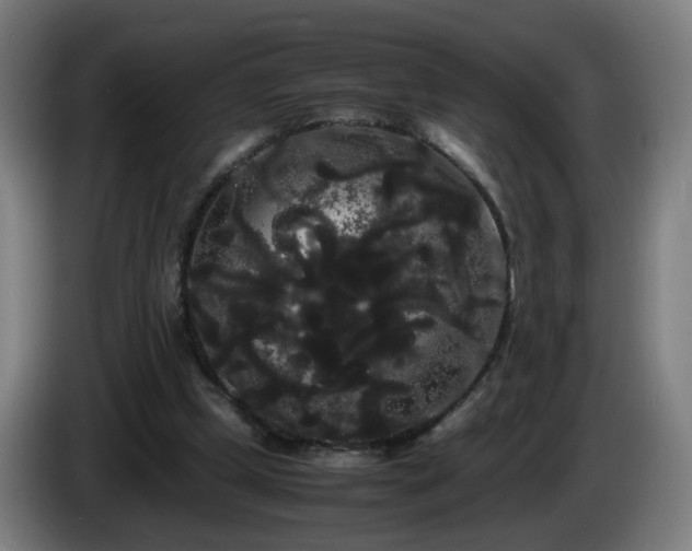 X0000086090249200703301157