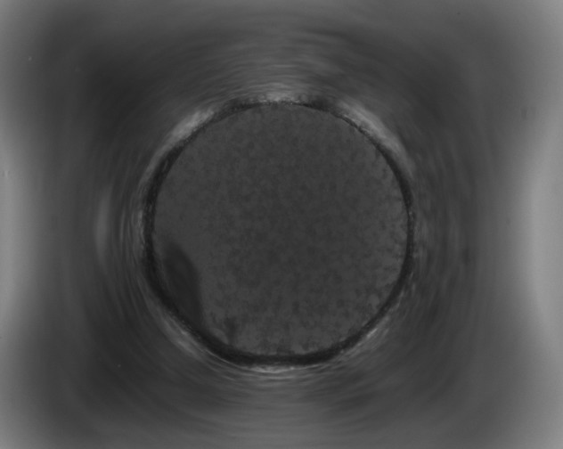 X0000086090250200703301157