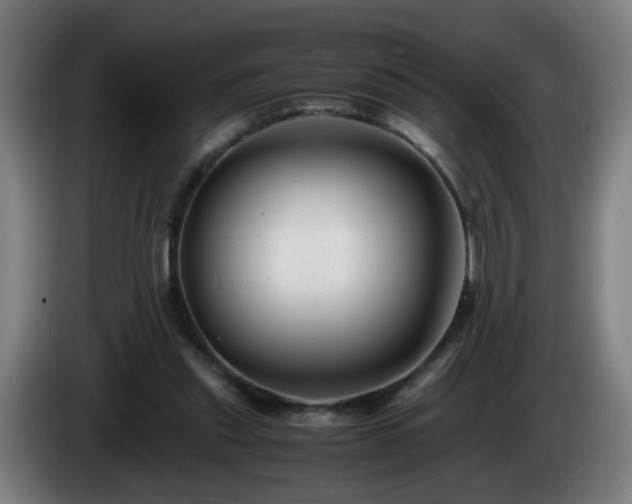 X0000086090253200703301157