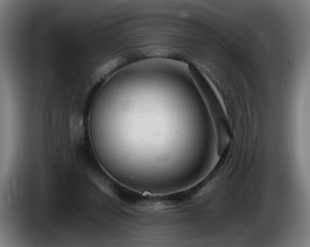 X0000086090254200703301157