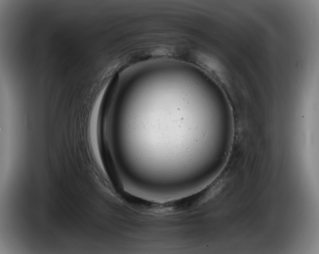 X0000086090257200703301157