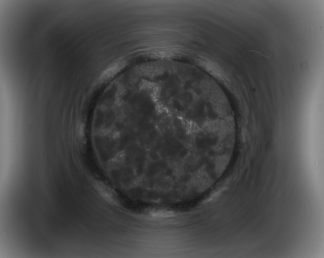 X0000086090258200703301157