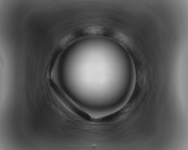 X0000086090259200703301157