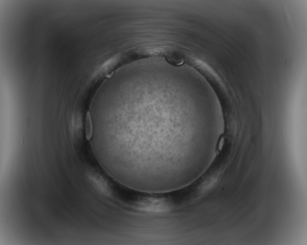 X0000086090260200703301157