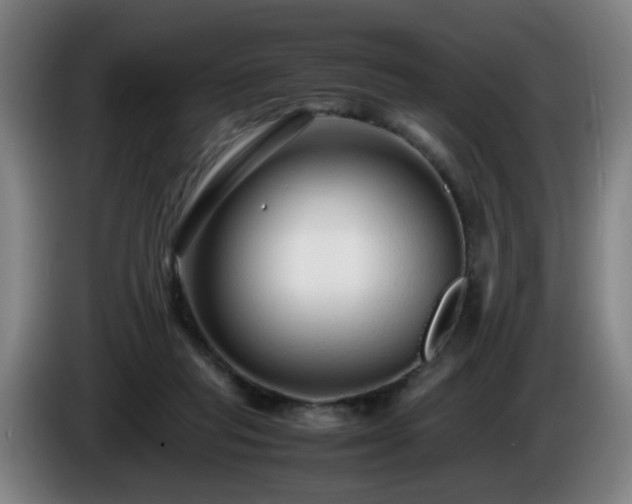 X0000086090261200703301157