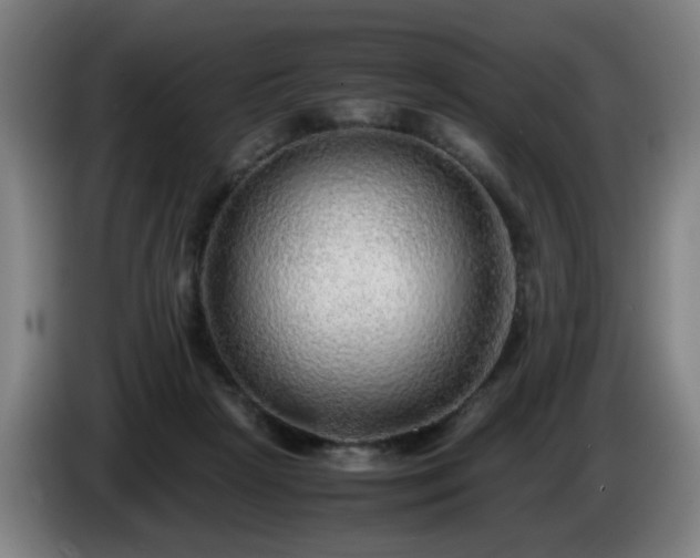 X0000086090265200703301157