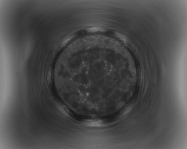 X0000086090266200703301157