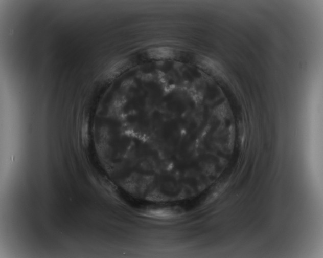 X0000086090267200703301157