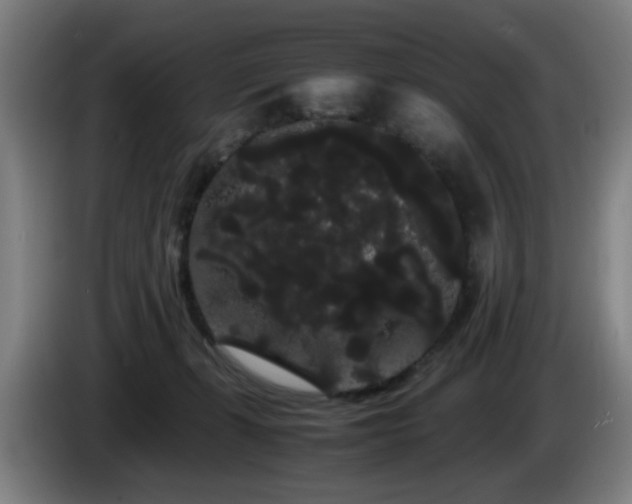 X0000086090271200703301157