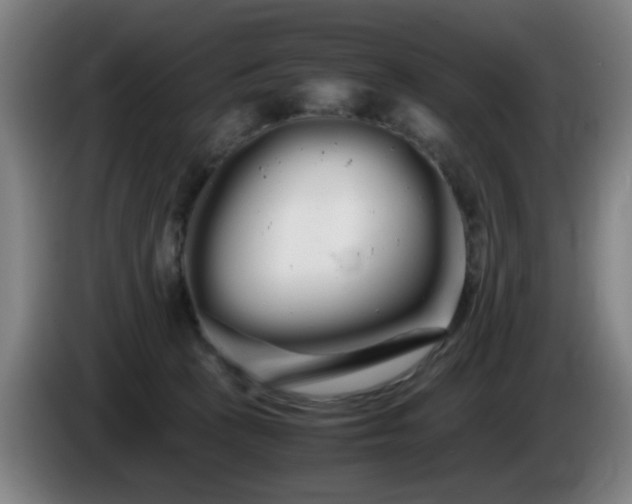 X0000086090273200703301157