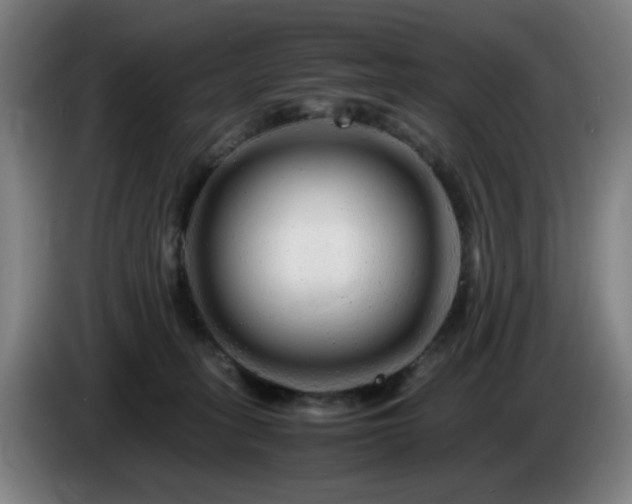 X0000086090275200703301157