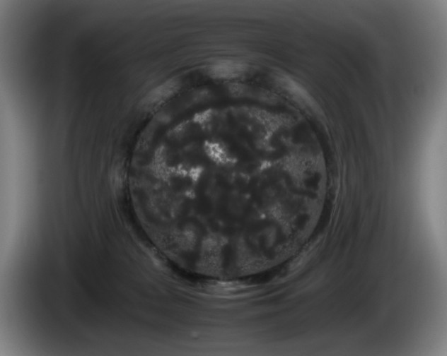 X0000086090277200703301157