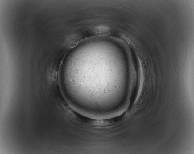 X0000086090281200703301157