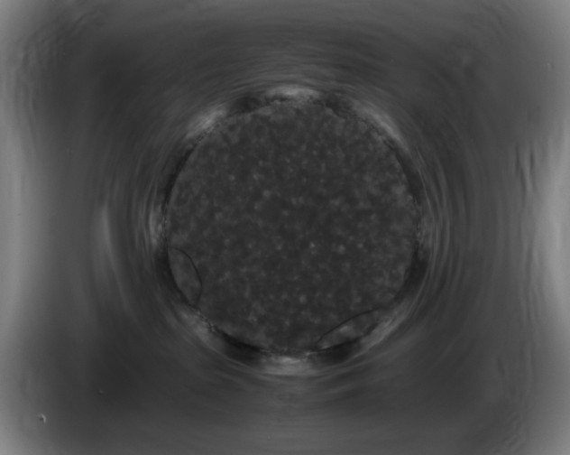 X0000086090285200703301157