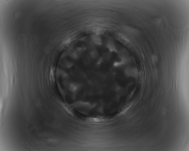 X0000086090286200703301157