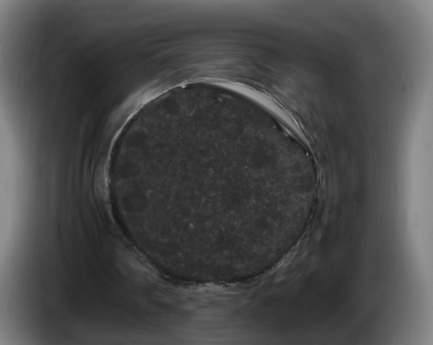 X0000086090290200703301157