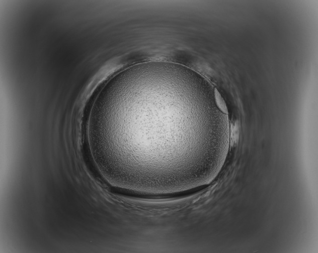 X0000086090291200703301157