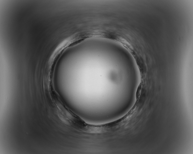 X0000086090293200703301157