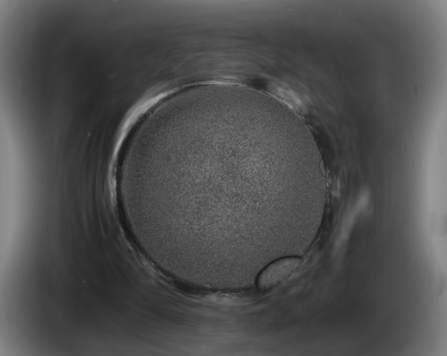 X0000086090294200703301157