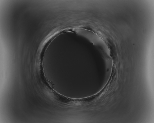 X0000086090295200703301157