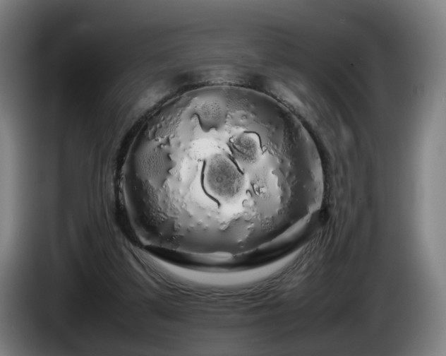 X0000086090299200703301157