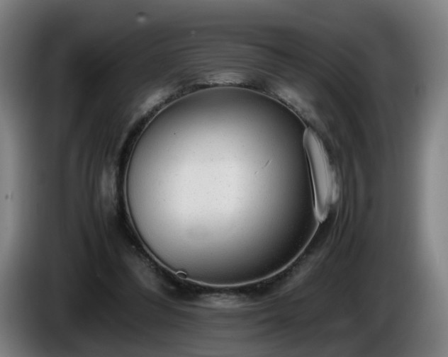 X0000086090300200703301157