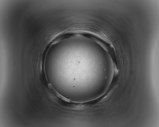 X0000086090301200703301157