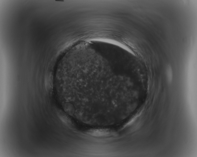 X0000086090303200703301157