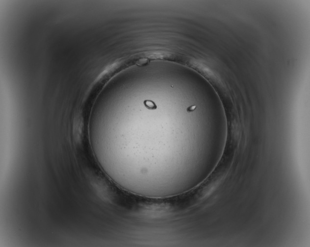 X0000086090304200703301157