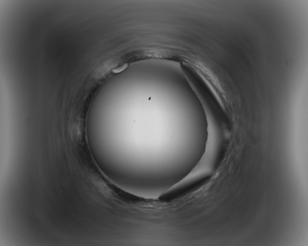 X0000086090305200703301157