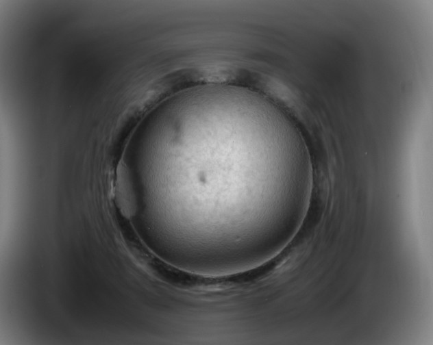 X0000086090307200703301157