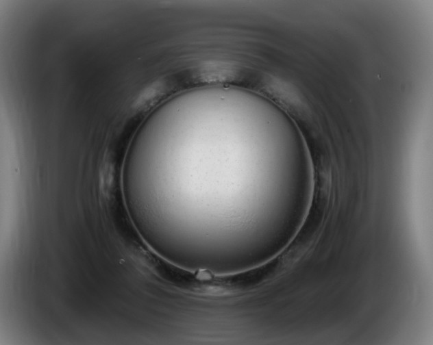 X0000086090308200703301157