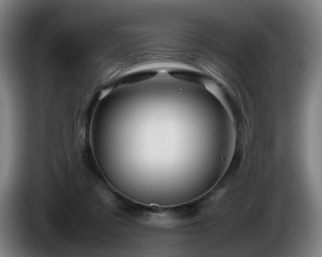 X0000086090309200703301157