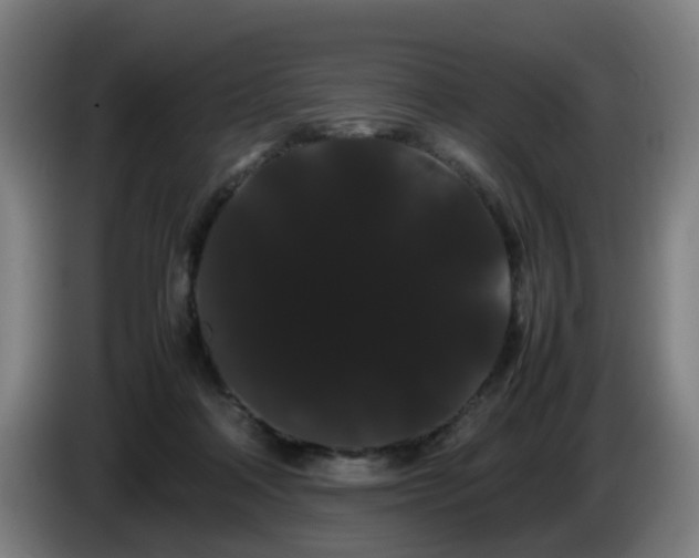 X0000086090314200703301156