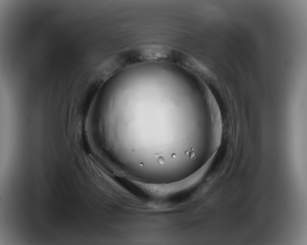 X0000086090315200703301156